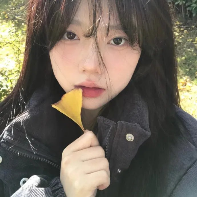齐格菲歌舞团